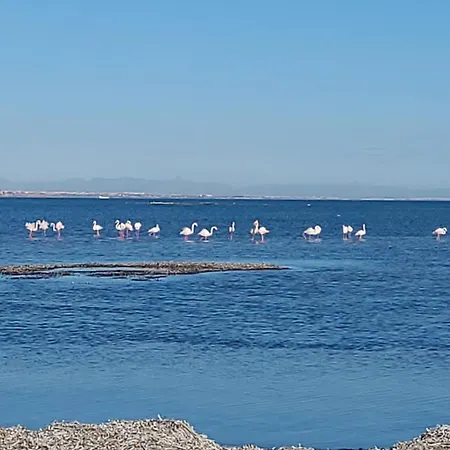 Appartamento Beachfront