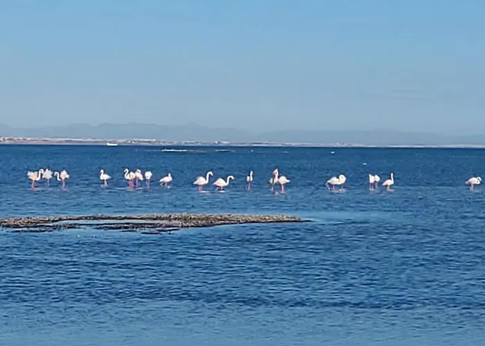 アパート Beachfront