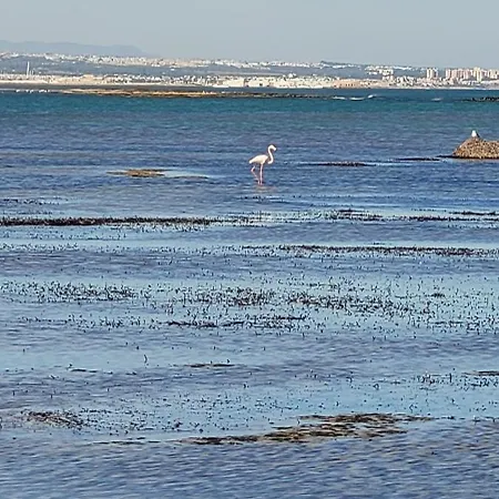 Beachfront